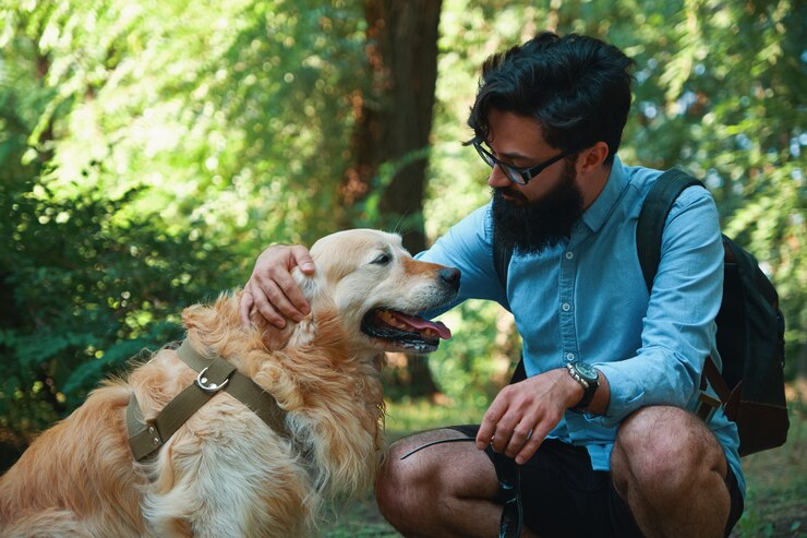 Veterinary Care